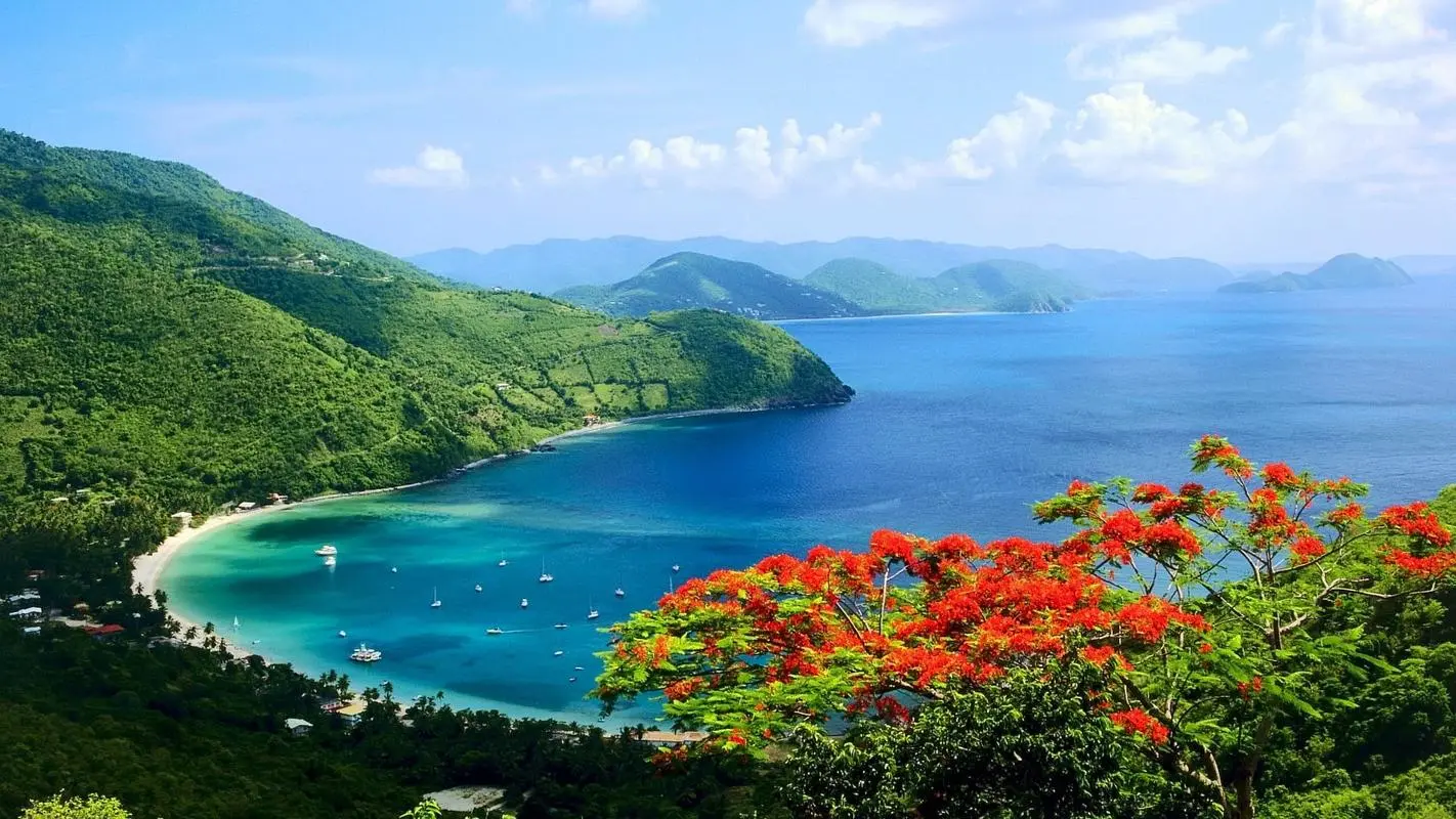 高效自动化高质量
